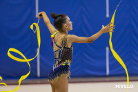 В Туле стартовало первенство Центрального федерального округа по художественной гимнастике, Фото: 49