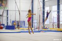Спортивная гимнастика в Туле 3.12, Фото: 105