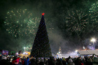 Открытие новогодней ёлки на площади Ленина, Фото: 48