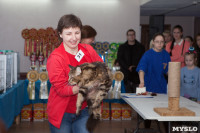 В Туле прошла выставка «Пряничные кошки» , Фото: 70