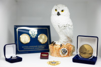 Кимовск-Донской-Новомосковск-Узловая, Фото: 14