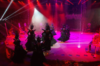 Премьера в Тульском цирке: шоу фонтанов «13 месяцев» удивит вас!, Фото: 1