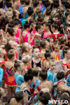 Соревнования по эстетической гимнастике «Кубок Роксэт», Фото: 108