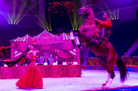 Цирковое шоу 5 континентов , Фото: 36