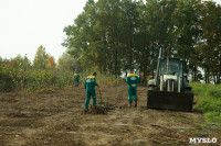 Высадка деревьев на территории бывшей судаковской свалки, Фото: 3