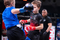 В «Тула-Арене» состоялись областные соревнования по ММА, Фото: 106