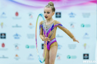 Тула провела крупный турнир по художественной гимнастике, Фото: 143