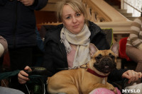 В Туле прошла Всероссийская выставка собак всех пород, Фото: 8