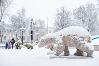 Снегопад в Туле 11 января, Фото: 39