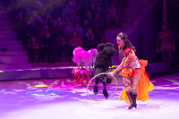 Цирковое шоу Жар птица, Фото: 132
