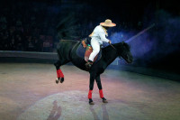 Цирк «Вива, Зорро!» в Туле , Фото: 42
