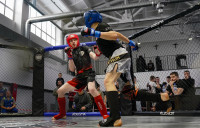 В Новомосковске прошел Чемпионат и Первенство Тульской области по ММА, Фото: 20