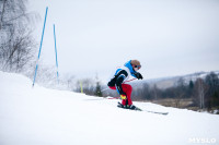 I-й этап Кубка Тулы по горным лыжам и сноуборду., Фото: 62