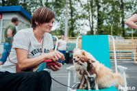 Всероссийская выставка собак в Туле, Фото: 115