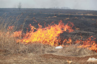 Возгорание сухой травы напротив ТЦ "Метро", 7.04.2014, Фото: 10