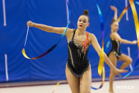 В Туле стартовало первенство Центрального федерального округа по художественной гимнастике, Фото: 78