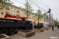 Над деревьями на проспекте Ленина начали поднимать провода, Фото: 12