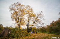 Золотая осень в Ясной Поляне, Фото: 111