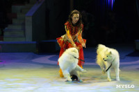 Цирковое шоу Жар птица, Фото: 73