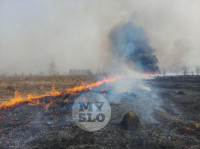 В Туле загорелось поле, Фото: 9