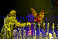 Шоу фонтанов «13 месяцев» в Тульском цирке – подарите себе и близким путевку в сказку!, Фото: 33