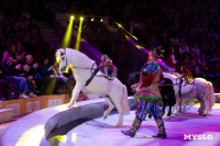 Цирковое шоу Жар птица, Фото: 139