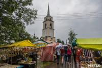 Фестиваль крапивы 2015, Фото: 54