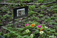 Кладбище домашних животных в Туле, Фото: 48