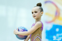 Тула провела крупный турнир по художественной гимнастике, Фото: 173