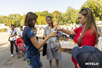 «Школодром-2025», Фото: 364