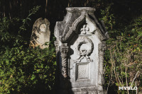 Всехсвятское кладбище, Фото: 90