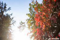 Золотая осень по-тульски, Фото: 54