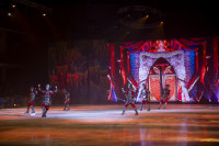 Шоу-балет в Ледовом дворце, Фото: 35