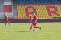 Звезды против чиновников, Фото: 31