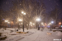 Зимняя сказка в Центральном парке, Фото: 6