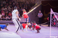 Туляков приглашают на новогоднее представление «Ёлка в цирке», Фото: 20