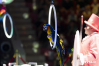 Шоу воды, огня и света, Фото: 23