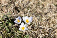 , Фото: 68