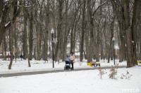 Рогожинский парк, зима 2019, Фото: 14