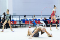 Художественная гимнастика, Фото: 83