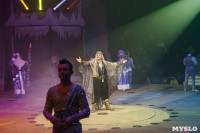 «Чудеса Новогодней Ёлки» ждут вас в Тульском цирке, Фото: 107