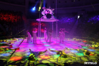 В Тульском цирке состоялось открытие новогодней губернаторской ёлки, Фото: 2
