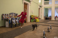 Выставка собак в Туле, Фото: 34