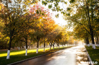Центральный парк, утро, осень, Фото: 47