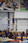 Спортивная гимнастика в Туле 3.12, Фото: 157