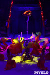 Грандиозное цирковое шоу «Песчаная сказка» впервые в Туле!, Фото: 57