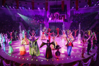 Премьера в Тульском цирке: шоу фонтанов «13 месяцев» удивит вас!, Фото: 44