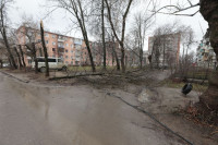 Штормовой ветер в Тульской области валил деревья, заборы и повредил крыши, Фото: 2