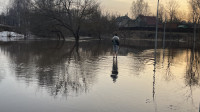 Затопленный Баташевский сад, Фото: 10