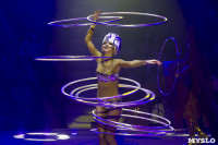 Шоу фонтанов «13 месяцев» в Тульском цирке – подарите себе и близким путевку в сказку!, Фото: 52